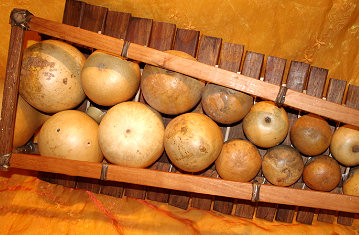 Djemb&eacute; Art Balafon aus Mali