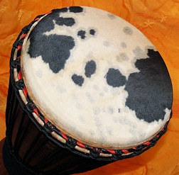 Bougarabou Trommel aus Mali Trommelfell