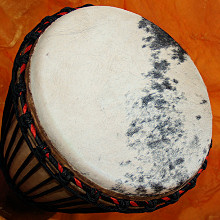 Bougarabou Trommel aus Mali Trommelfell