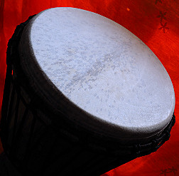 Djembe Trommel Fell
