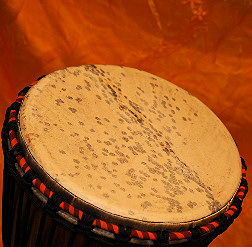 Djembe Trommel  Fell