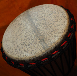 Djembe Trommel Fell