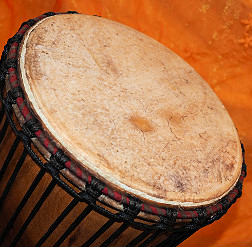 Djembe Trommel Fell