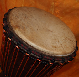 Djembe Trommel Fell