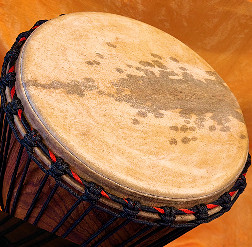 Djembe Trommel  Fell