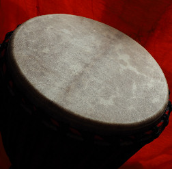 Djembe Trommel Fell