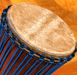 Djembe Trommel Fell