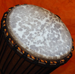 Djembe Trommel Fell
