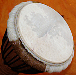 Djembe Trommel Fell