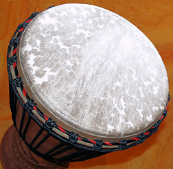 Djembe Trommel Fell