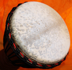 Djembe Trommel Fell