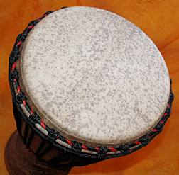 Djembe Trommel Fell