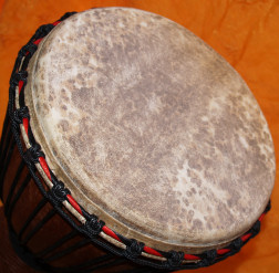 Djembe Trommel Fell