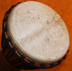 Djembe Trommel Fell