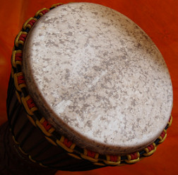 Djembe Trommel Fell