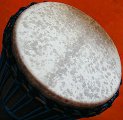 Djembe Trommel Fell