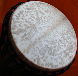 Djembe Trommel Fell