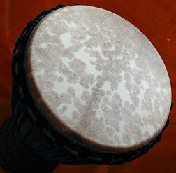 Djembe Trommel Fell