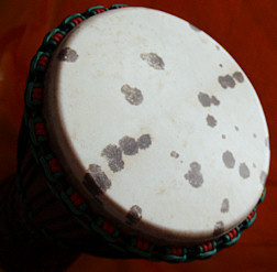 Djembe Trommel Fell