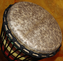 Djembe Trommel Fell