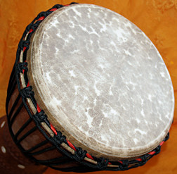 Djembe Trommel Fell