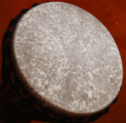 Djembe Trommel Fell