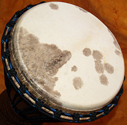 Djembe Trommel Fell