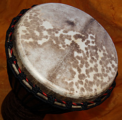 Djembe Trommel Fell