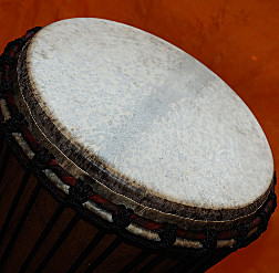 Djembe Trommel Fell