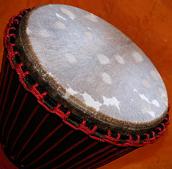 Djembe Trommel Fell