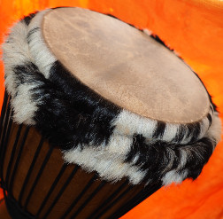 Djembe Trommel Fell