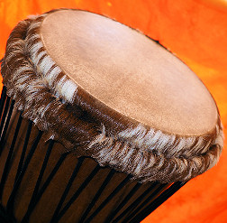 Djembe Trommel Fell