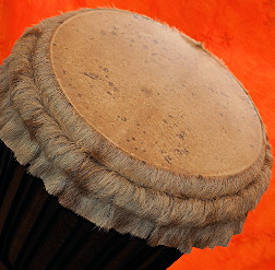 Djembe Trommel Fell