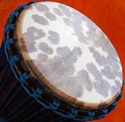 Djembe Trommel Fell