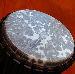 Djembe Trommel Fell