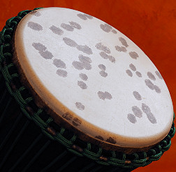 Djembe Trommel Fell