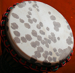 Djembe Trommel Fell