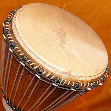 Djembe Art Premium Trommeln