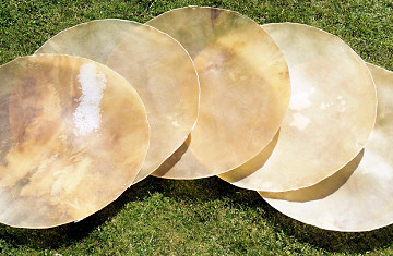 Büffel Fell, Büffelhaut, Buffalo Skin
