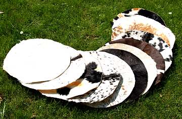 Ziegen Fell, Goatskin, Ziegenhaut, Trommelfell